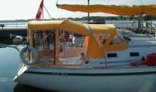 CS 34 Dodger Bimini