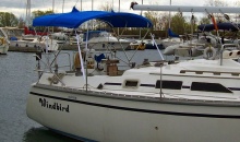 Hunter 33 Bimini