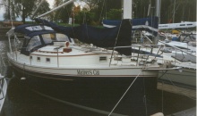 Nonsuch 30 Dodger Bimini