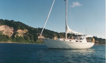 Niagara 35 Dodger Bimini