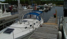 CS 36 Traditional Dodger Bimini